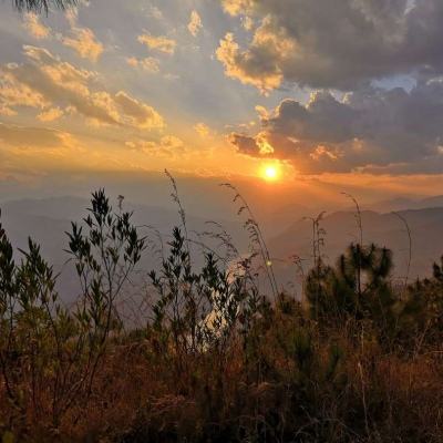 金沙乐娱场app下载