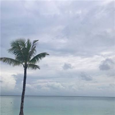 乐鱼app官网正式版下载