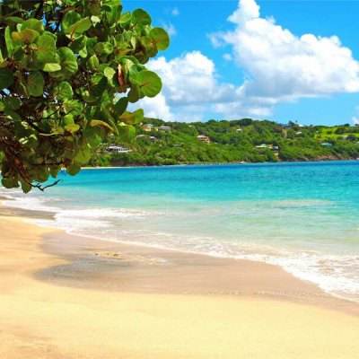 万博app下载最新版